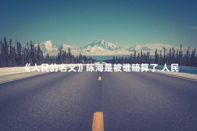 《人民的名义》陈海是被谁暗算了 人民的名义是真实改编的吗
